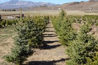 Land for sale in Washoe County, Nevada