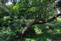 Farm and Ranch for sale in Lake County, Illinois