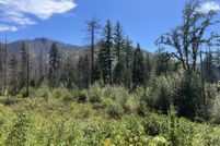 Homesite for sale in Lane County, Oregon
