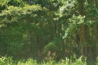 Land for sale in Sumter County, South Carolina