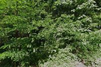 Land for sale in Shelby County, Tennessee