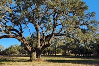 Land for sale in Comal County, Texas