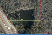 Undeveloped Land for sale in Nassau County, Florida