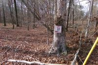 Homesite for sale in Cherokee County, Alabama