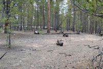 Undeveloped Land for sale in Lake County, Colorado