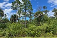 Land for sale in Collier County, Florida
