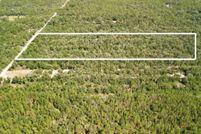 Undeveloped Land for sale in Gilchrist County, Florida