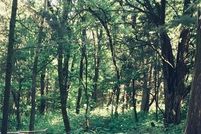 Land for sale in Linn County, Kansas