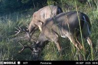 Waterfront Property for sale in Miami County, Kansas