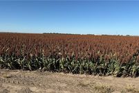 Farm and Ranch for sale in Meade County, Kansas