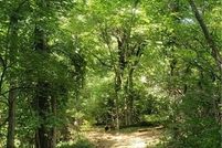 Homesite for sale in Clay County, Missouri