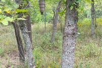 Land for sale in Franklin County, Kansas