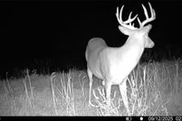 Lakefront Property for sale in Howard County, Missouri