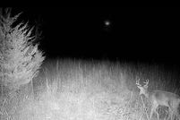 Land for sale in Miami County, Kansas