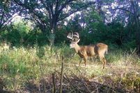 Land for sale in Jackson County, Missouri