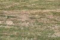 Land for sale in Yuma County, Colorado