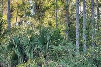 Land for sale in Volusia County, Florida
