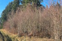 Homesite for sale in Lewis County, Washington