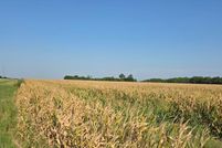 Land for sale in Fannin County, Texas