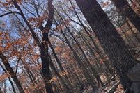 Land for sale in DeKalb County, Alabama