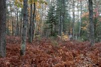 Homesite for sale in Presque Isle County, Michigan