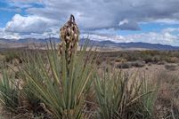 Land for sale in Riverside County, California