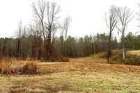 Undeveloped Land for sale in Bibb County, Alabama