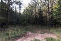 Undeveloped Land for sale in Taliaferro County, Georgia