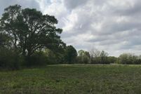 Land for sale in Iberia Parish, Louisiana