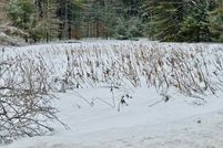 Land for sale in Oneida County, New York