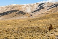 Land for sale in Madison County, Montana
