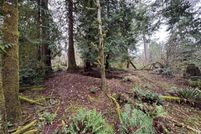 Land for sale in Pierce County, Washington