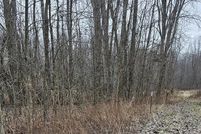 Undeveloped Land for sale in Livingston County, Michigan