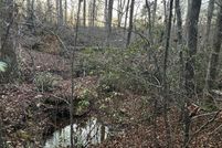 Land for sale in Rutherford County, North Carolina