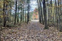 Land for sale in Allegan County, Michigan