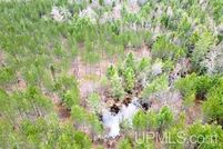 Land for sale in Delta County, Michigan