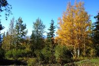 Undeveloped Land for sale in Anchorage Borough, Alaska
