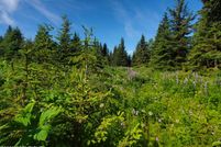 Land for sale in Kenai Peninsula Borough, Alaska