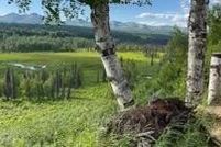 Land for sale in Matanuska-Susitna Borough, Alaska