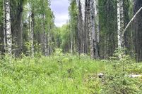 Undeveloped Land for sale in Matanuska-Susitna Borough, Alaska