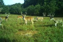 Land for sale in Delaware County, Oklahoma