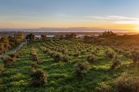 Land for sale in Santa Barbara County, California