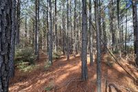 Land for sale in Sabine Parish, Louisiana