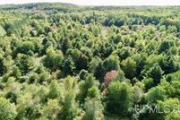 Land for sale in Luce County, Michigan