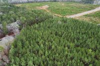 Land for sale in Saluda County, South Carolina