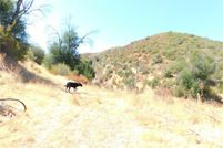 Land for sale in San Luis Obispo County, California