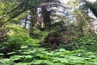 Land for sale in Sonoma County, California