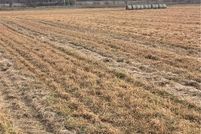 Land for sale in Benton County, Arkansas