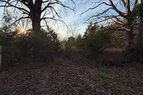 Land for sale in Titus County, Texas
