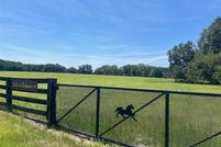 Land for sale in Alachua County, Florida